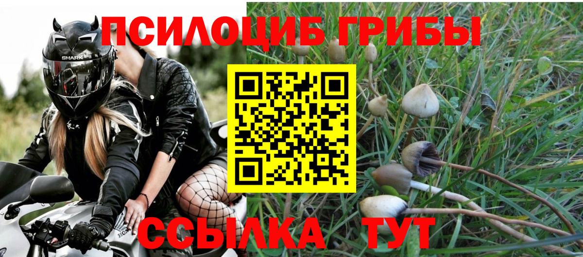 Галлюциногенные грибы Magic Shrooms  Вход с VPN  Мурманск 
